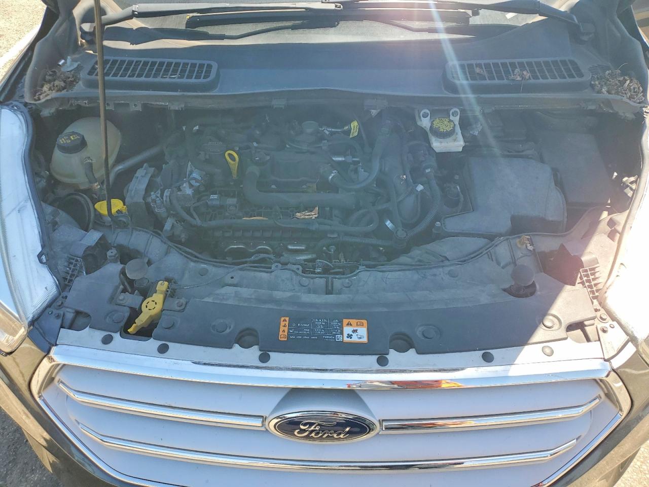 Ford Escape Se