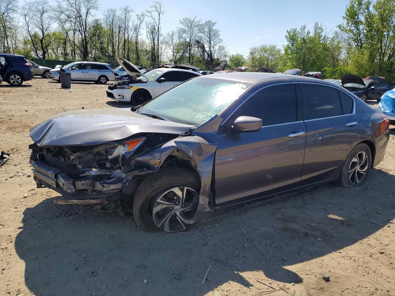 Salvage Honda Accord Image