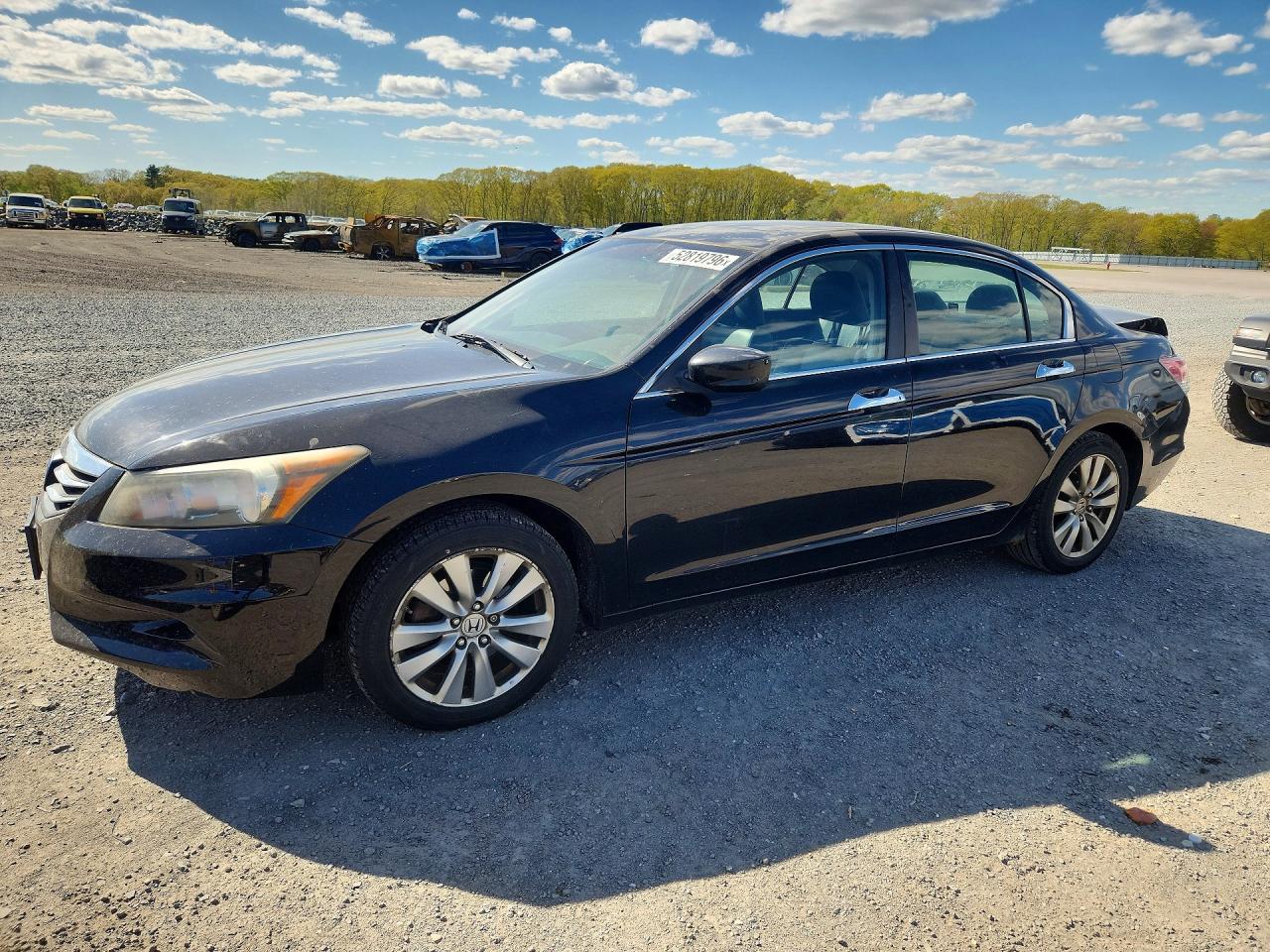 Salvage Honda Accord Image