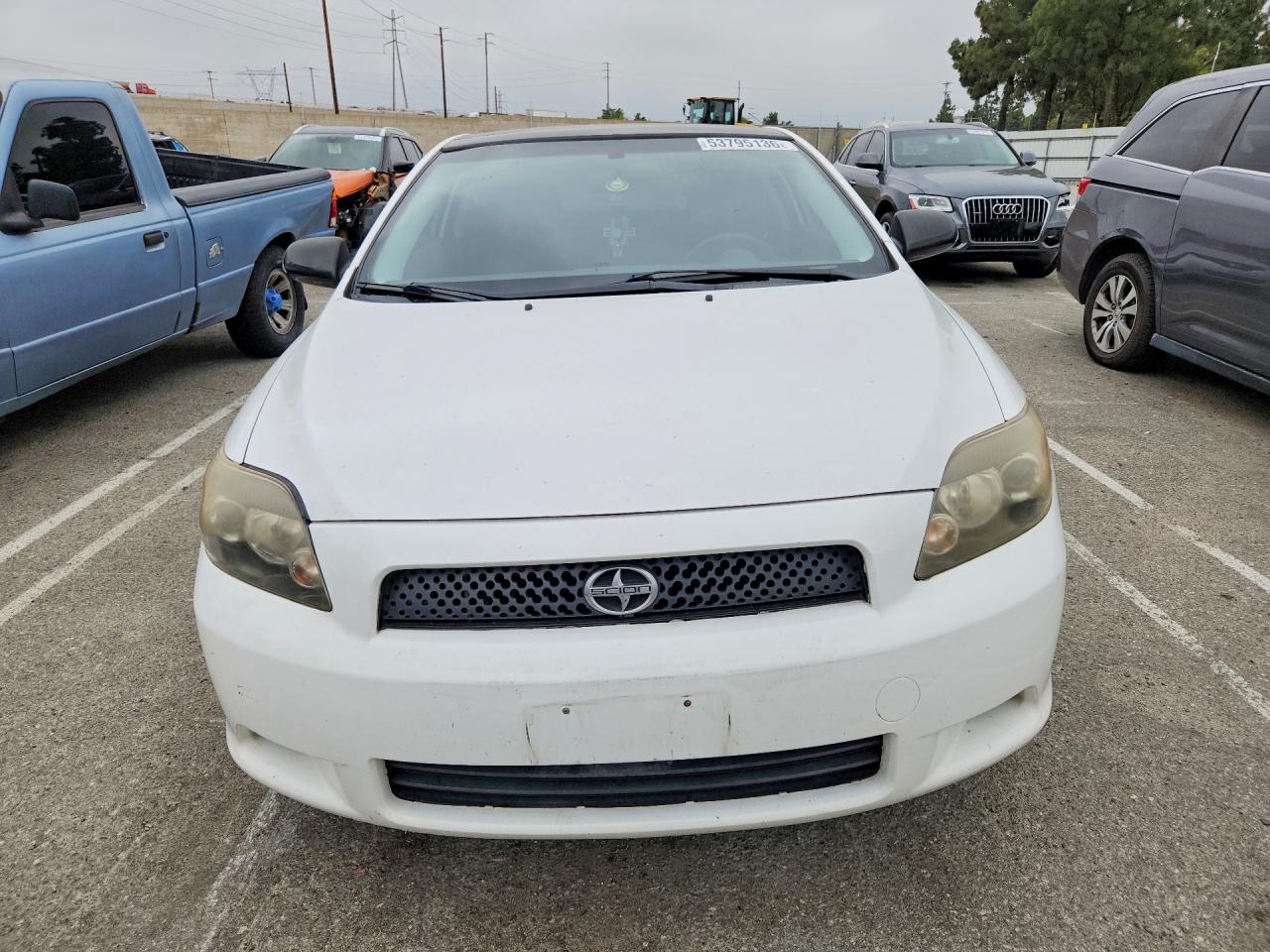 Scion TC Base