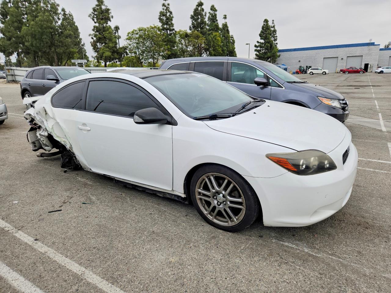 Scion TC Base