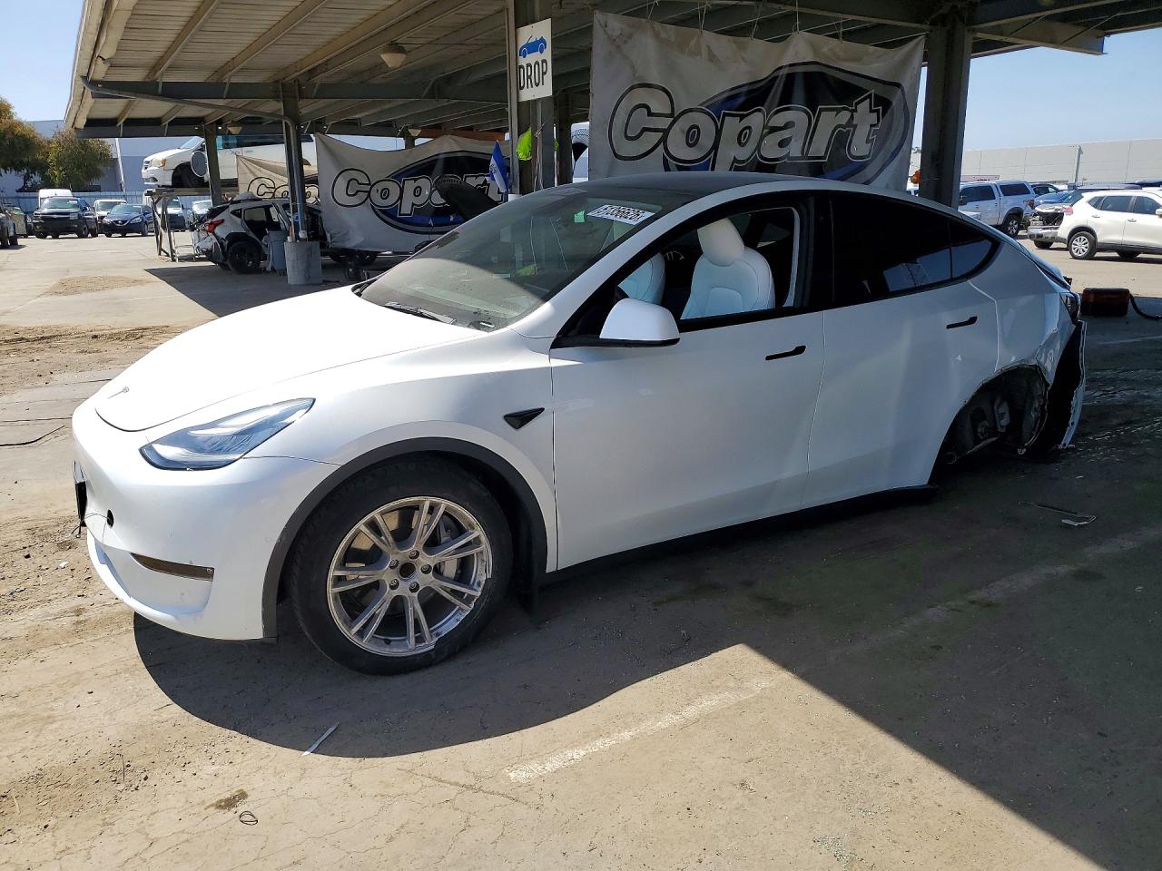 Salvage Tesla Model Y Image