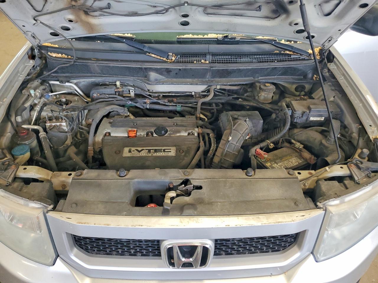 Honda Element Ex
