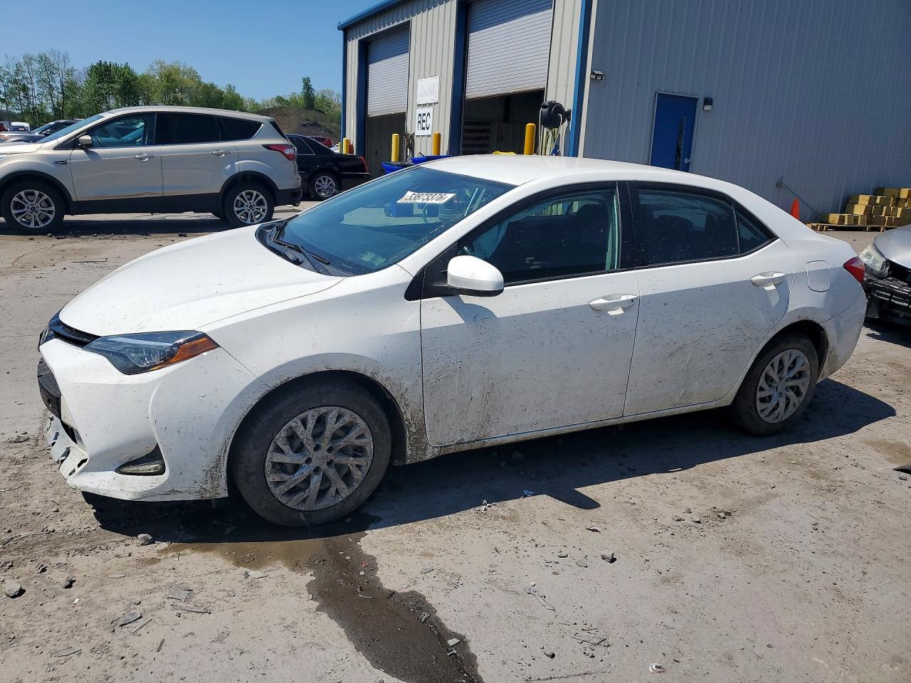 Salvage Toyota Corolla Image