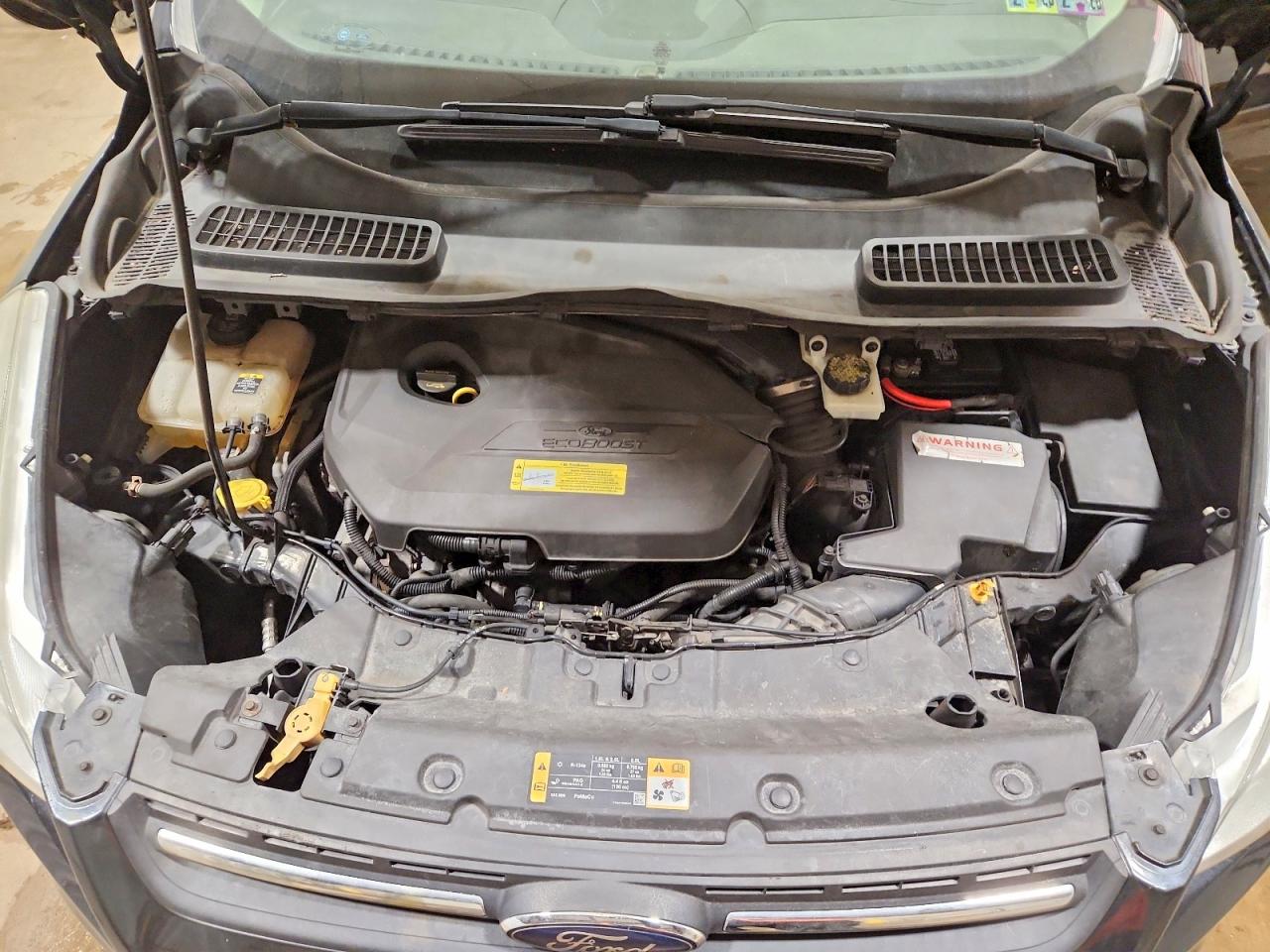 Ford Escape Se