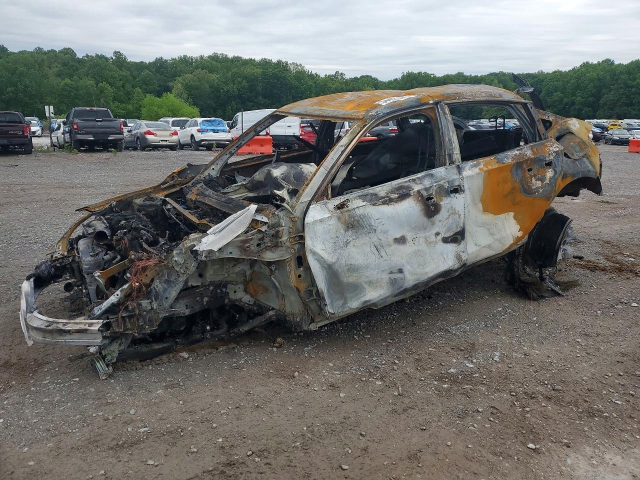 Salvage Honda Civic Image