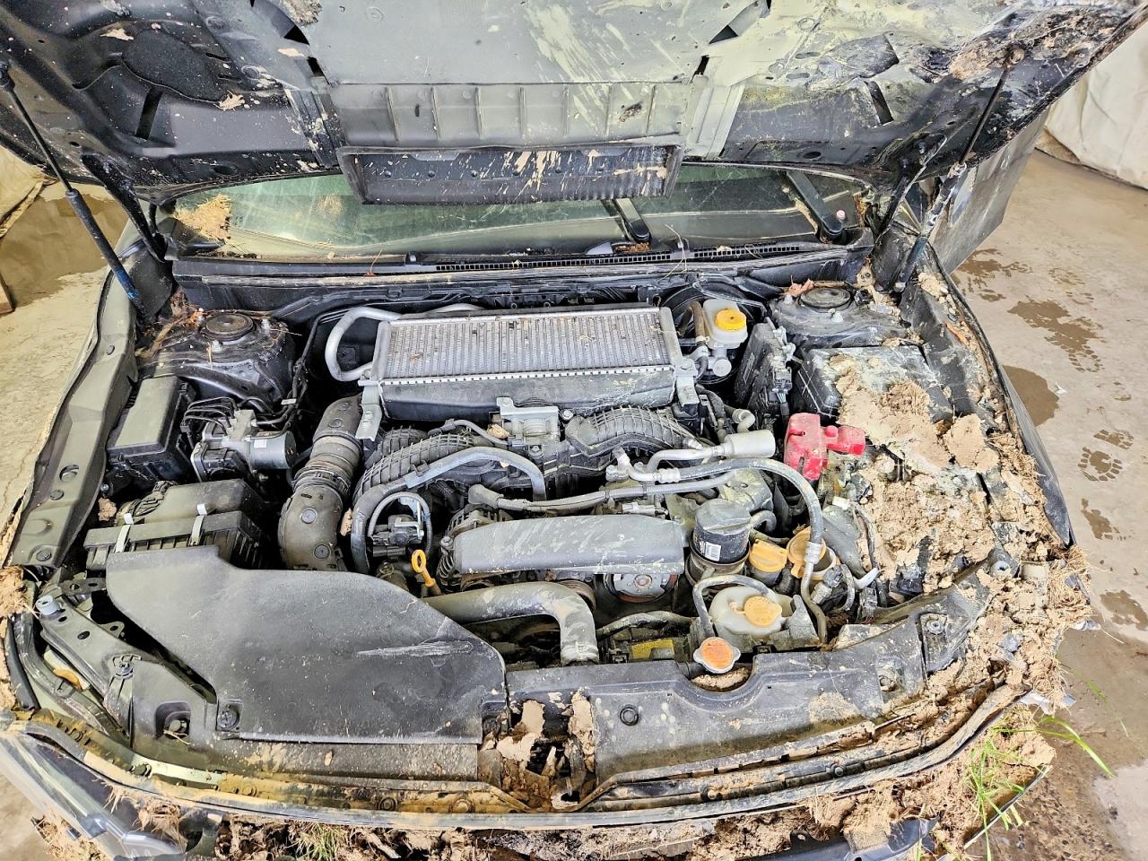 Subaru WRX Premium