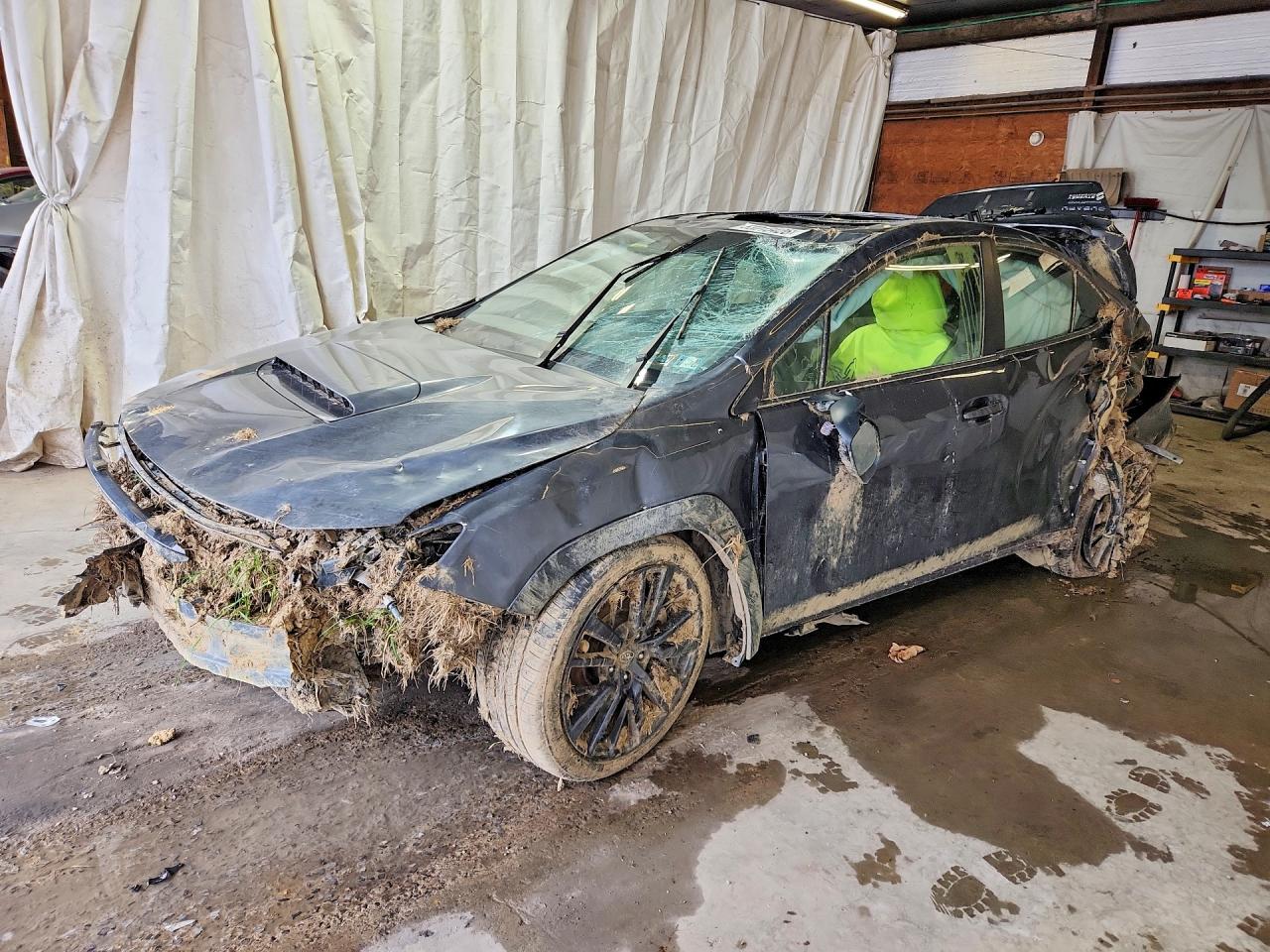 2024 Subaru WRX
