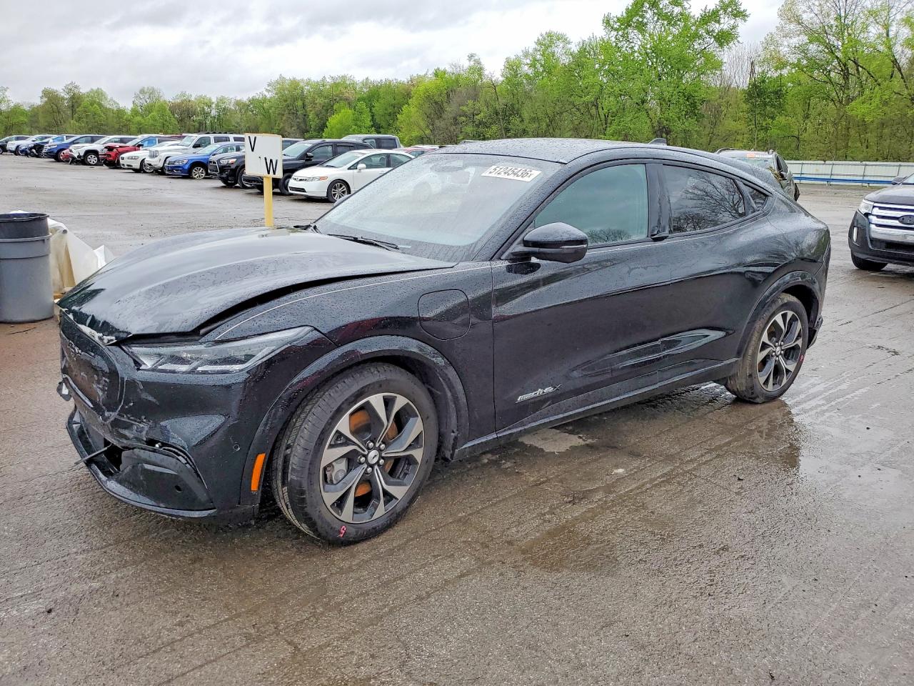 Salvage Ford Mustang Image