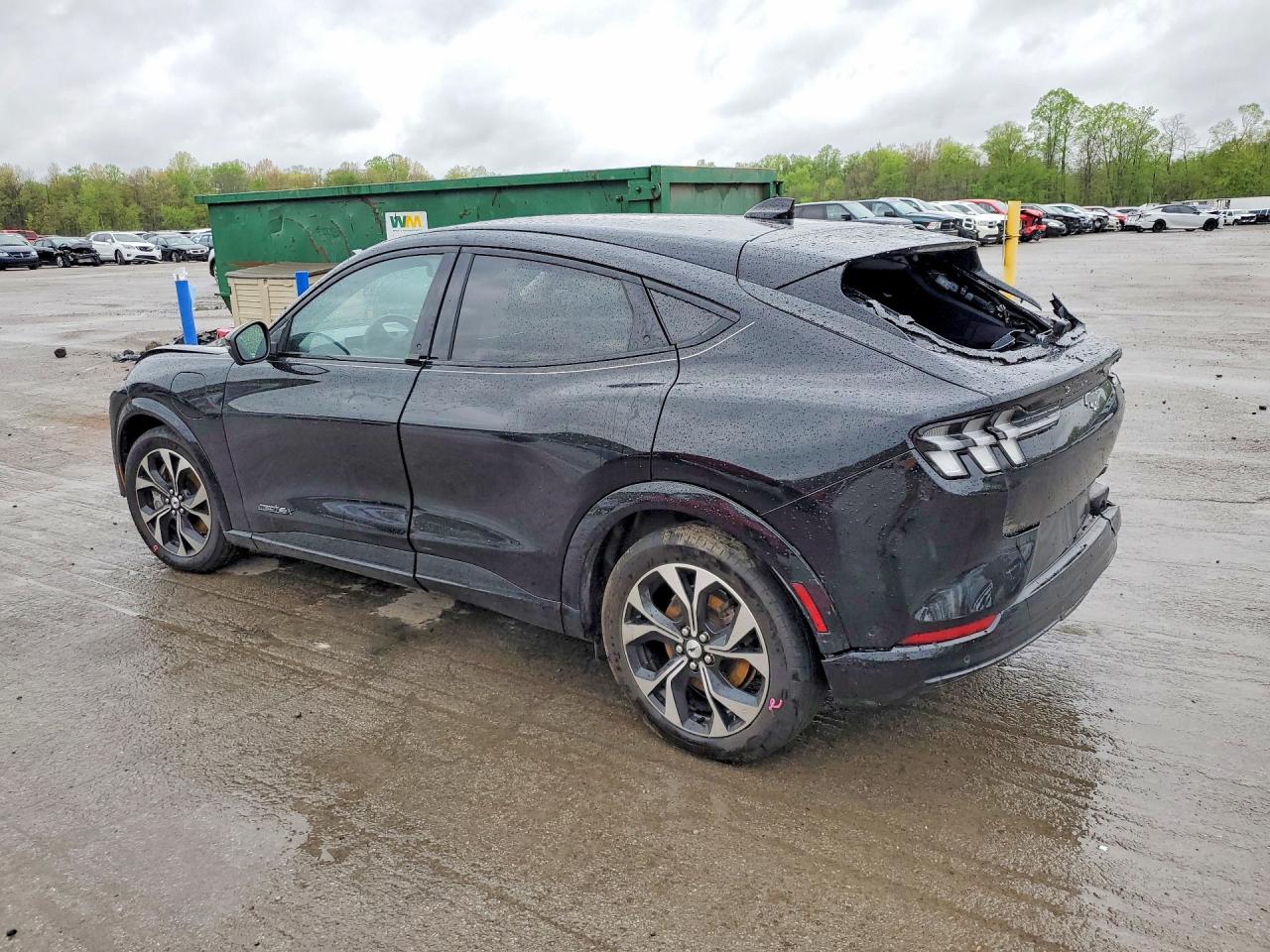 Ford Mustang Premium