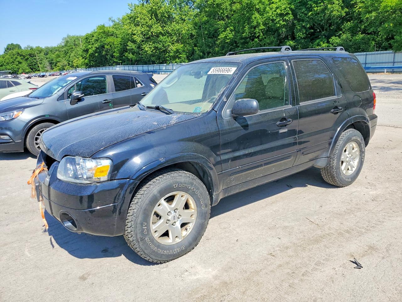 Salvage Ford Escape Image