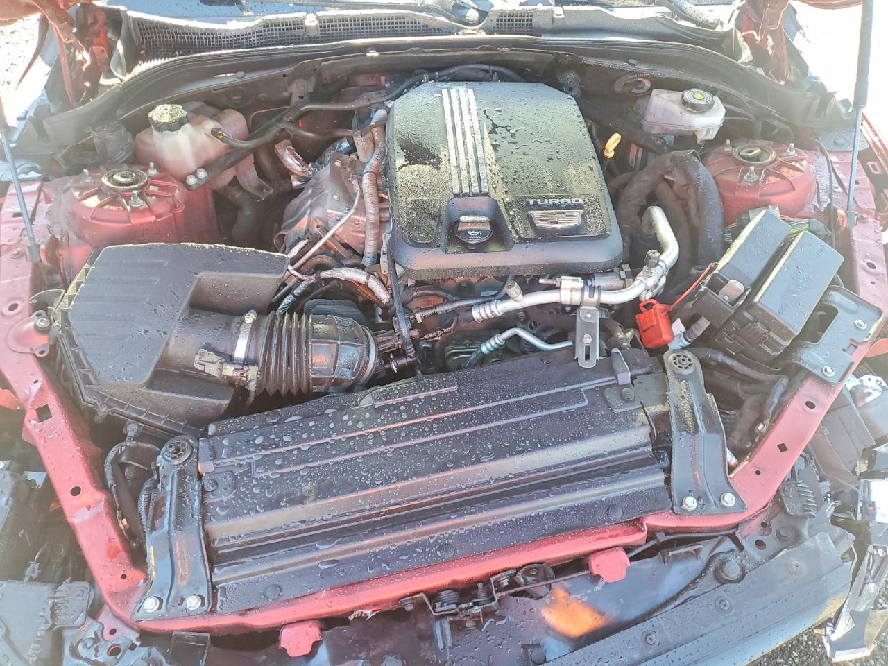 Cadillac CT4 Premium Luxury