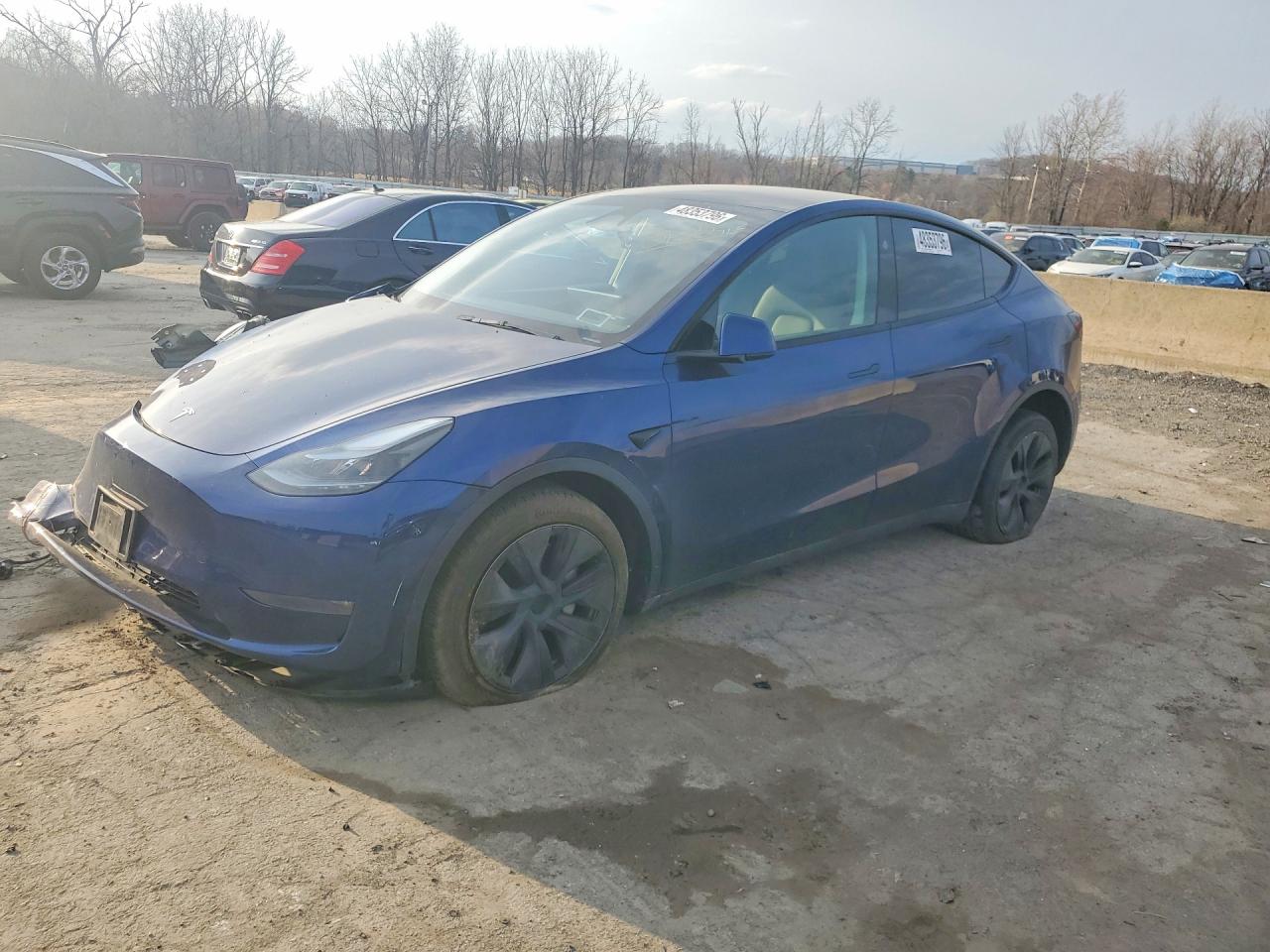 Salvage Tesla Model Y Image