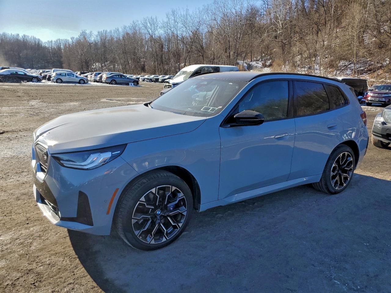 Salvage BMW X Series Image
