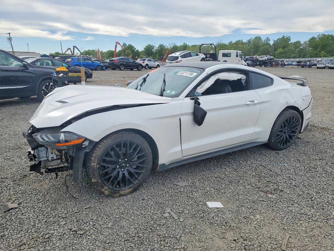 Salvage Ford Mustang Image