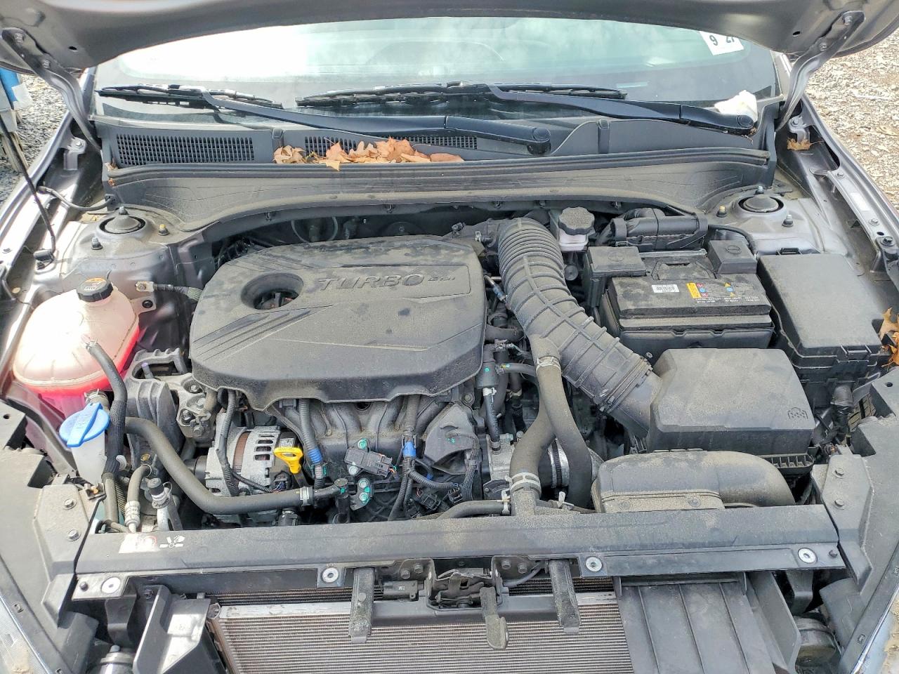 Kia Forte Gt