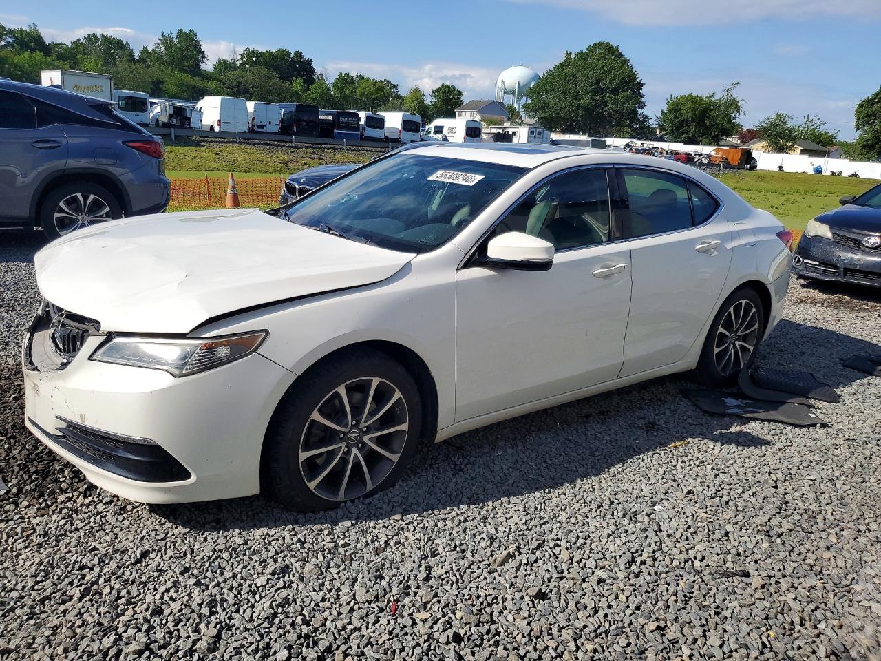 Salvage Acura TLX Image