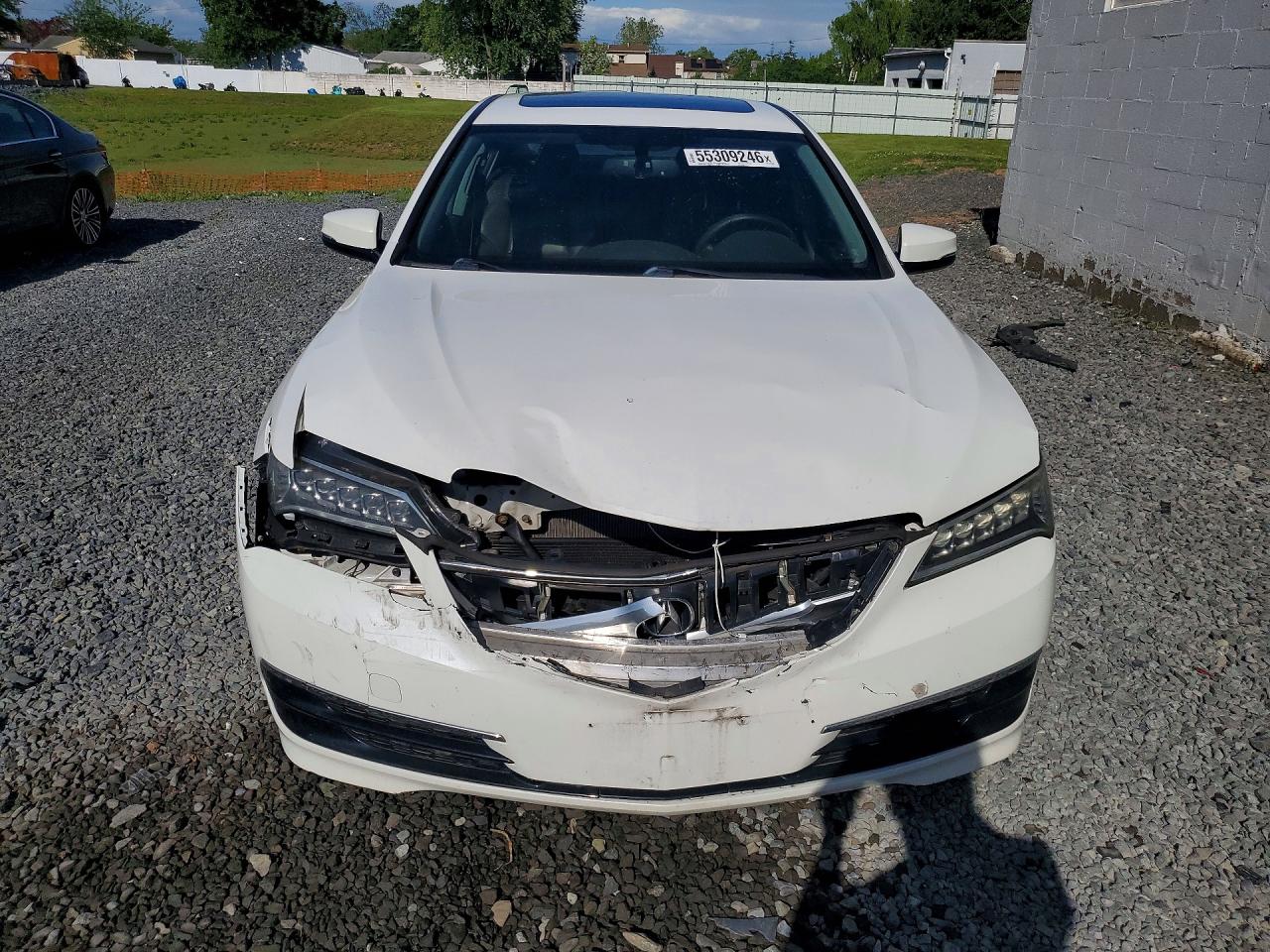 Acura TLX