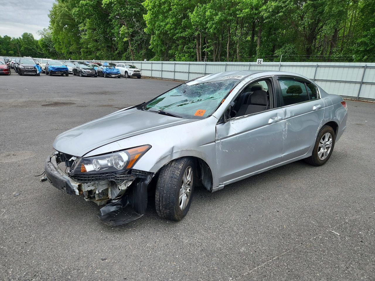 Salvage Honda Accord Image