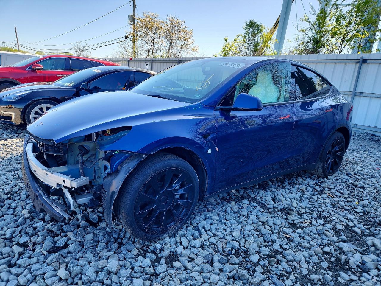 Salvage Tesla Model Y Image
