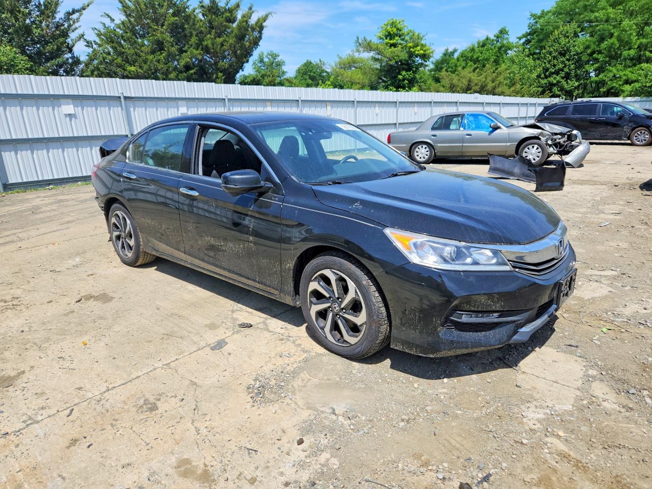 Honda Accord Exl