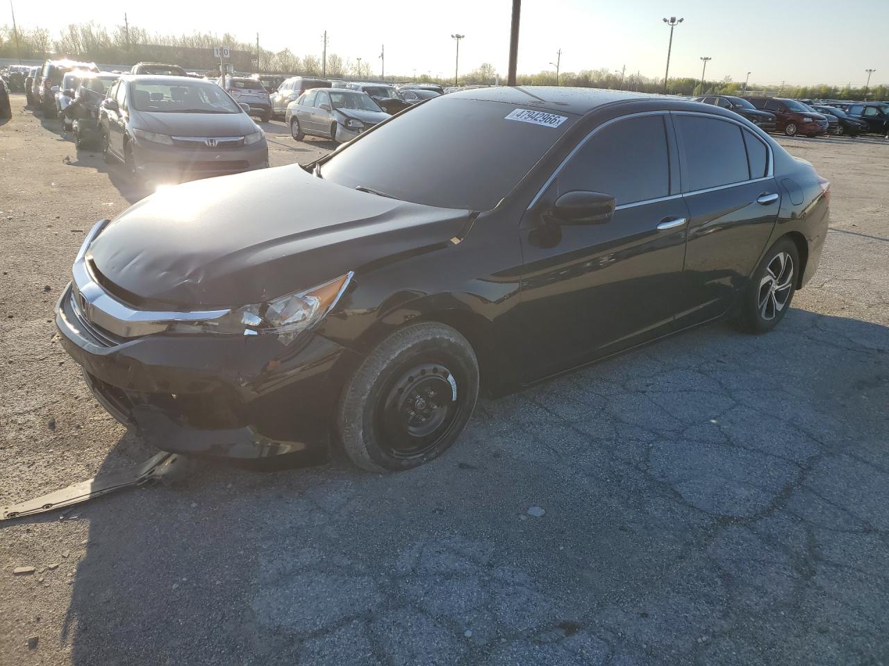 Salvage Honda Accord Image