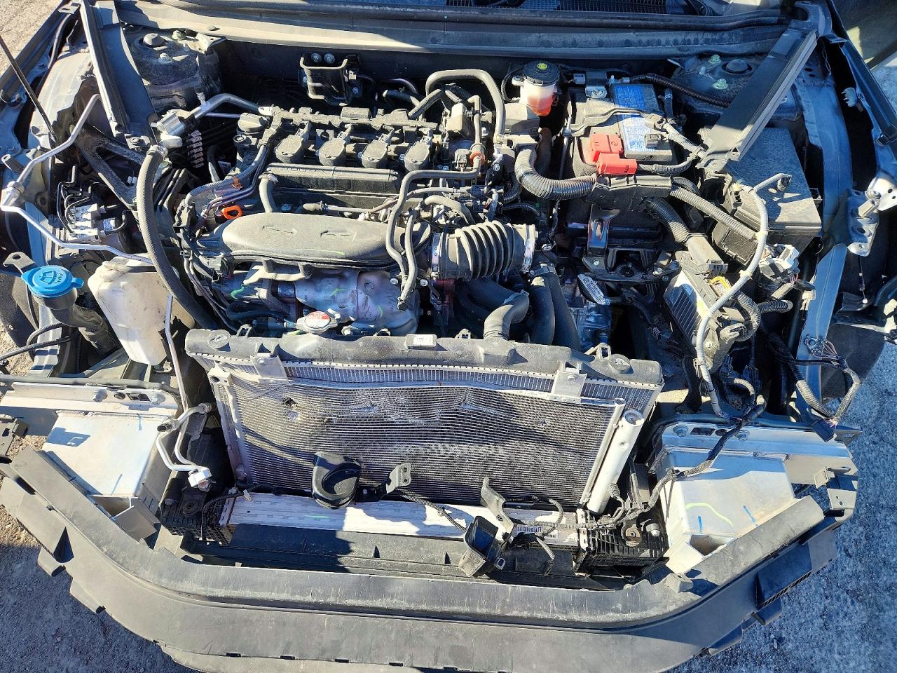 Honda Accord Ex