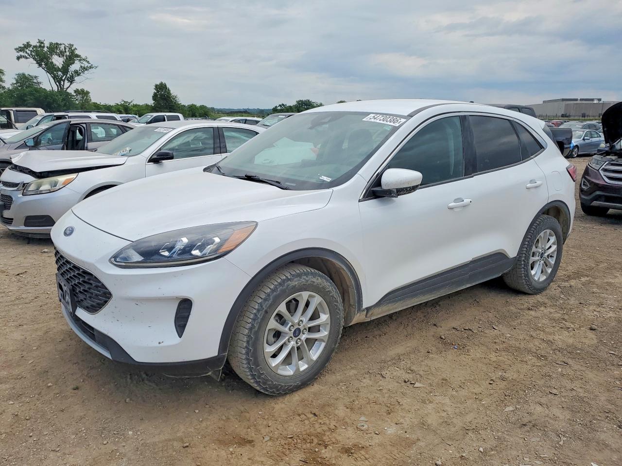 Salvage Ford Escape Image