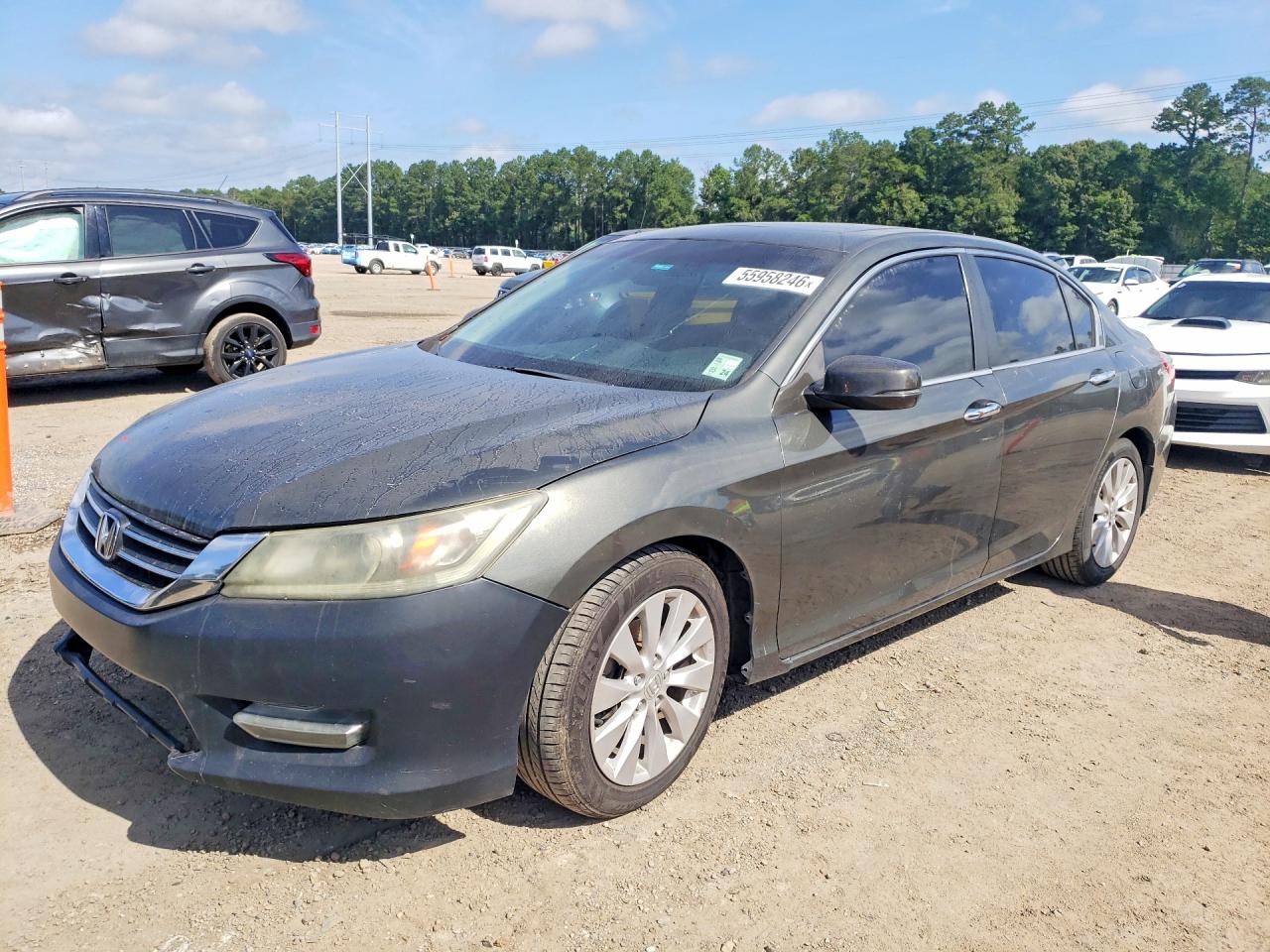 Salvage Honda Accord Image
