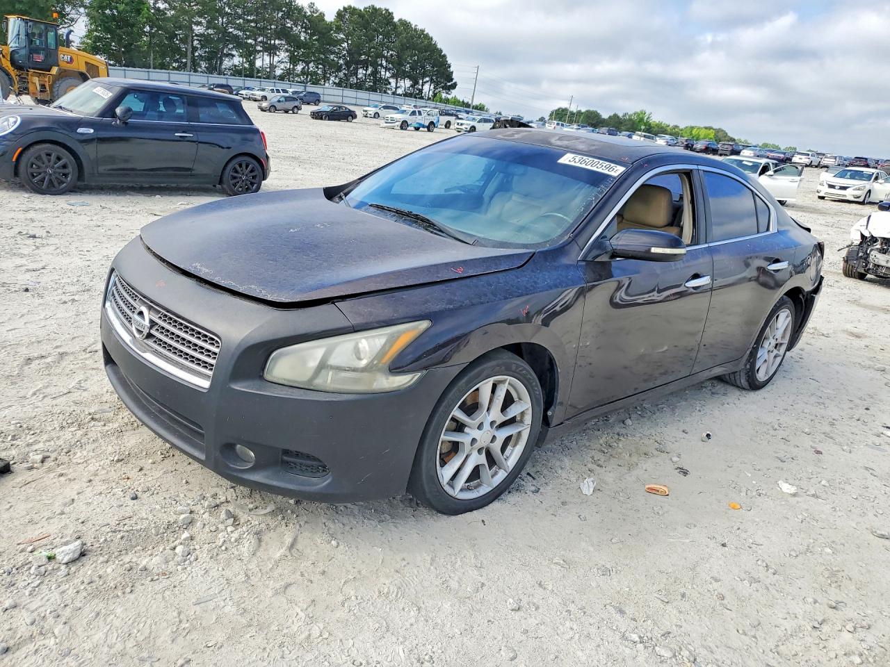 Salvage Nissan Maxima Image