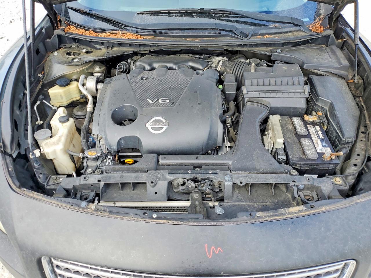 Nissan Maxima 3.5 S