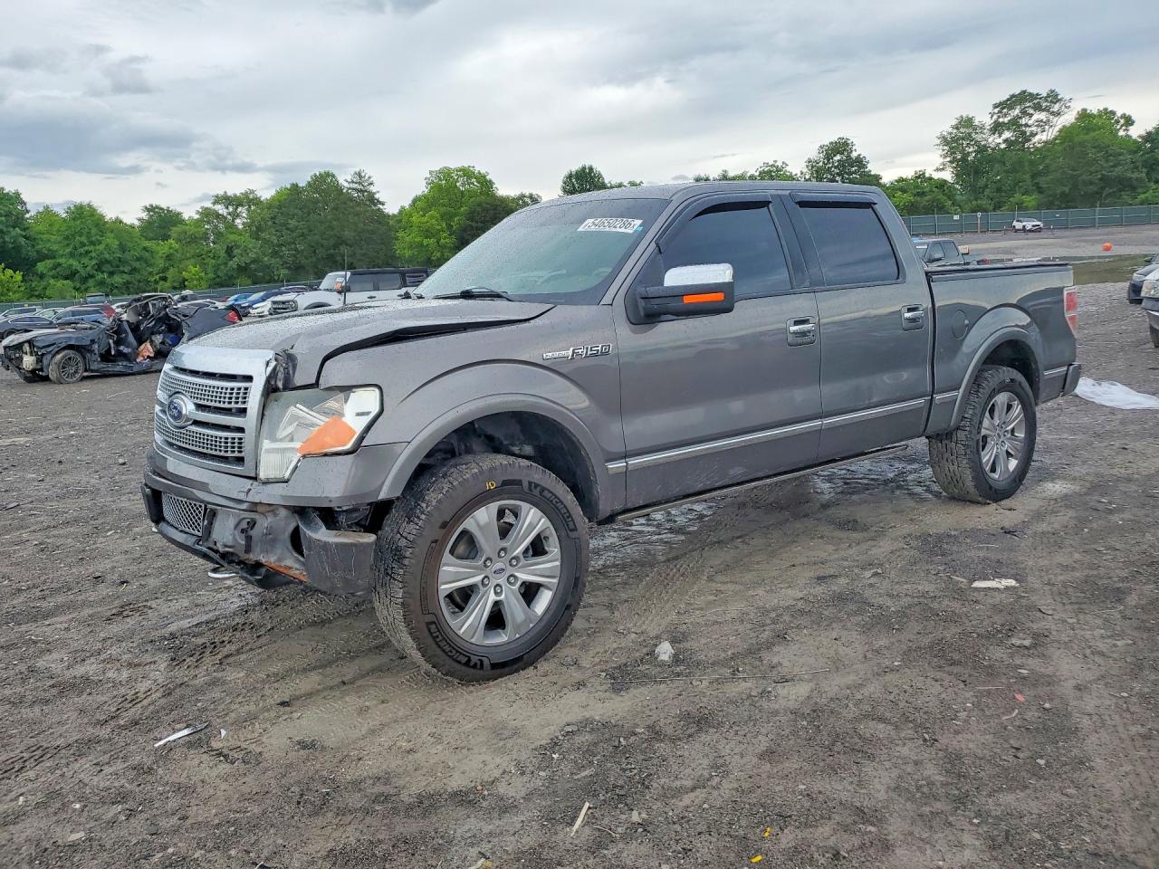 Salvage Ford F-150 Image