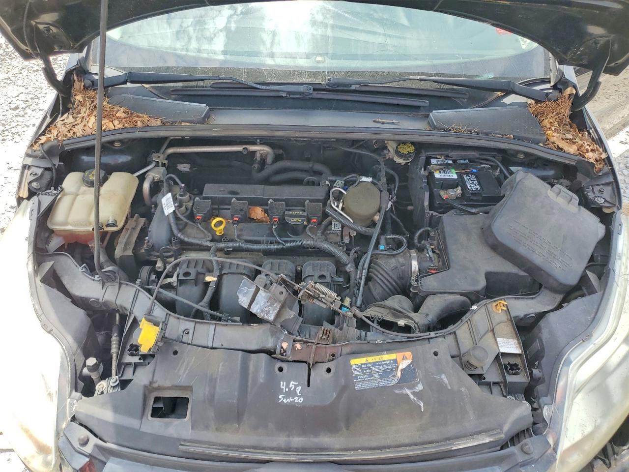 Ford Focus Se
