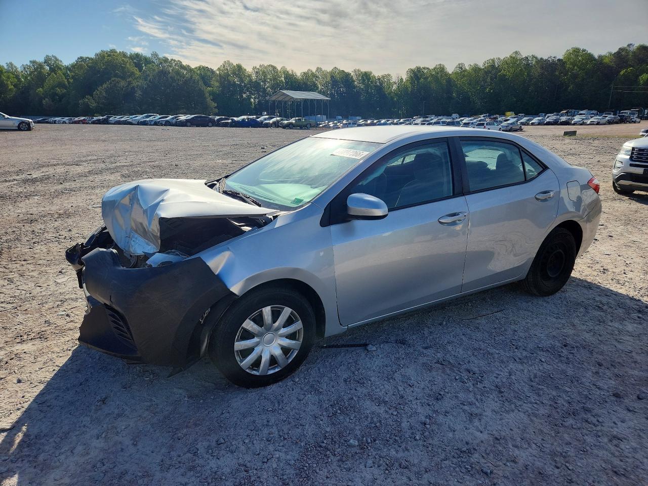 Salvage Toyota Corolla Image