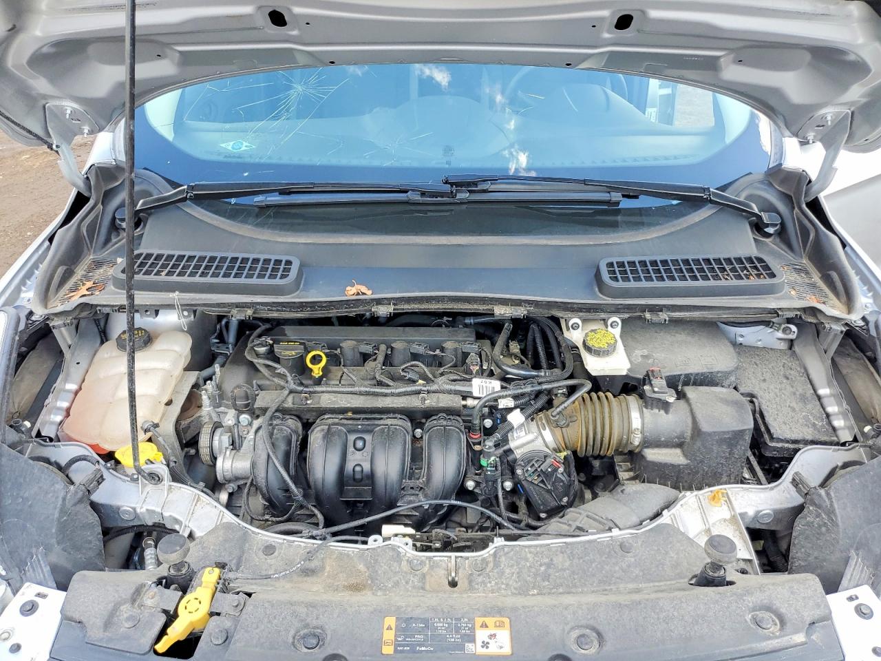 Ford Escape S