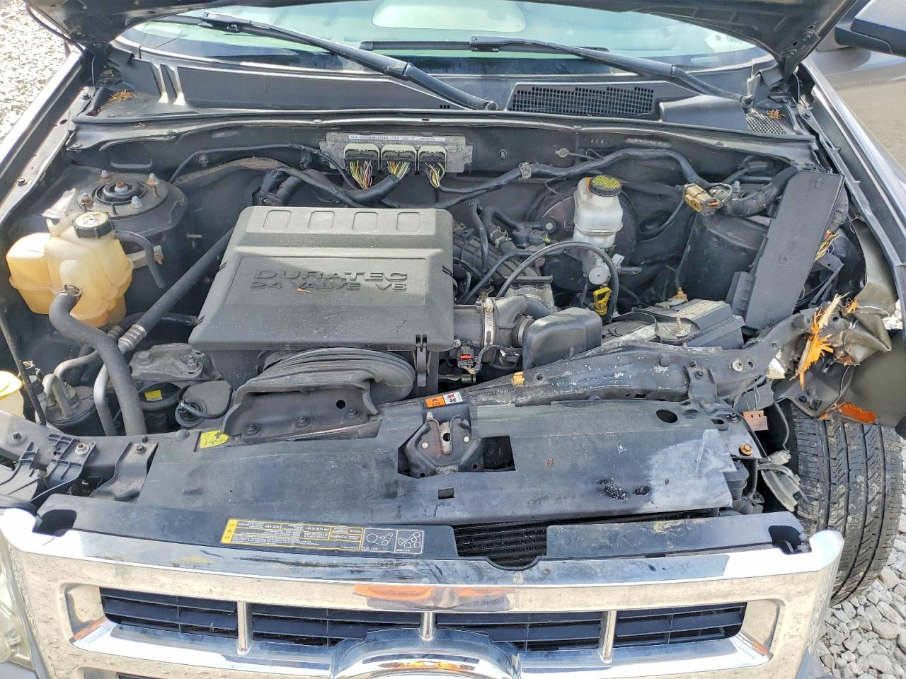 Ford Escape Xlt