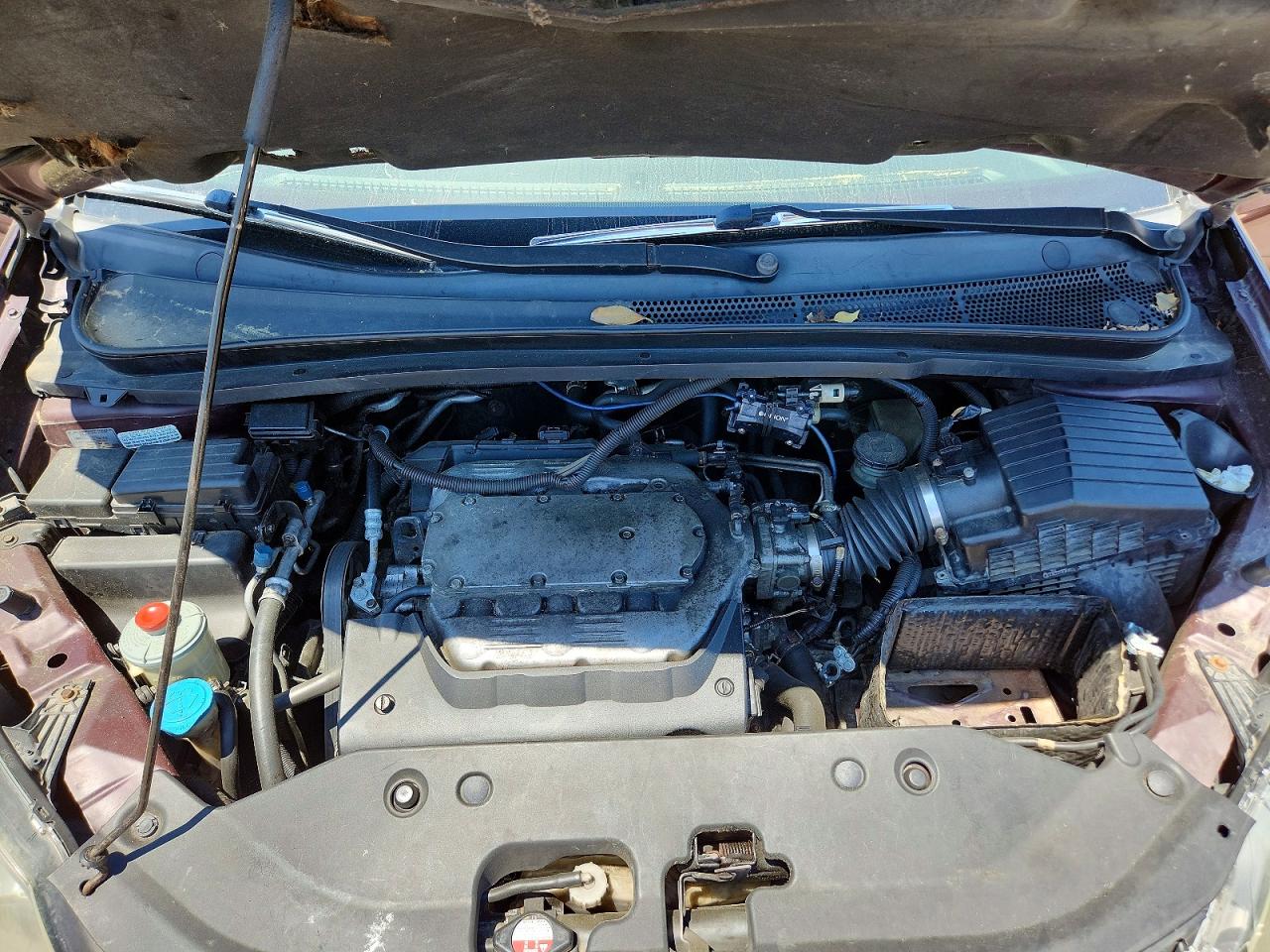 Honda Odyssey Exl