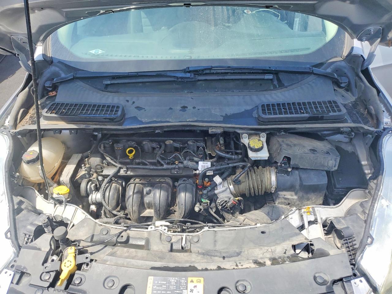 Ford Escape S