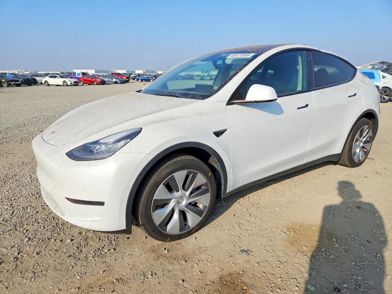 Salvage Tesla Model Y Image