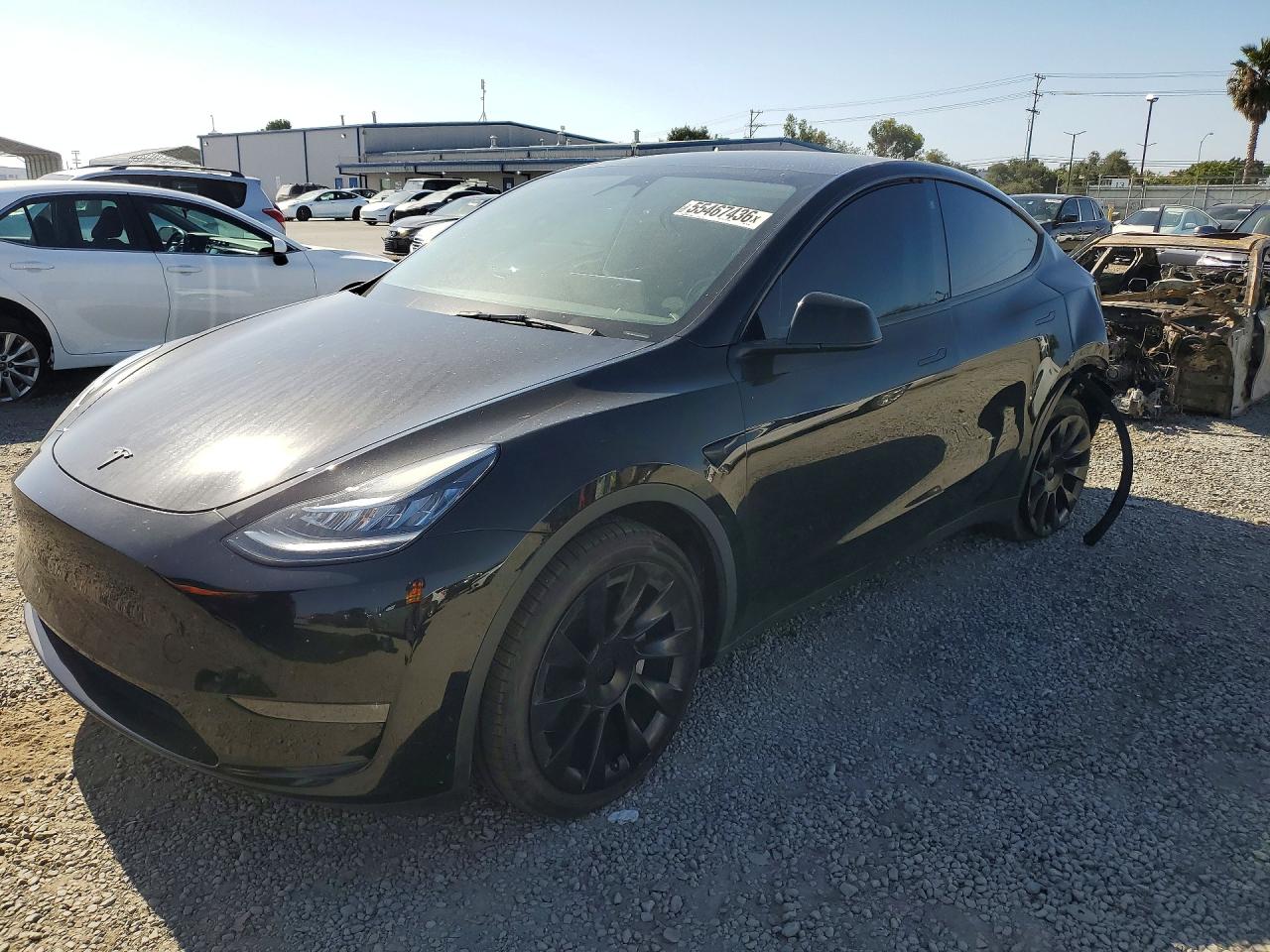 Salvage Tesla Model Y Image