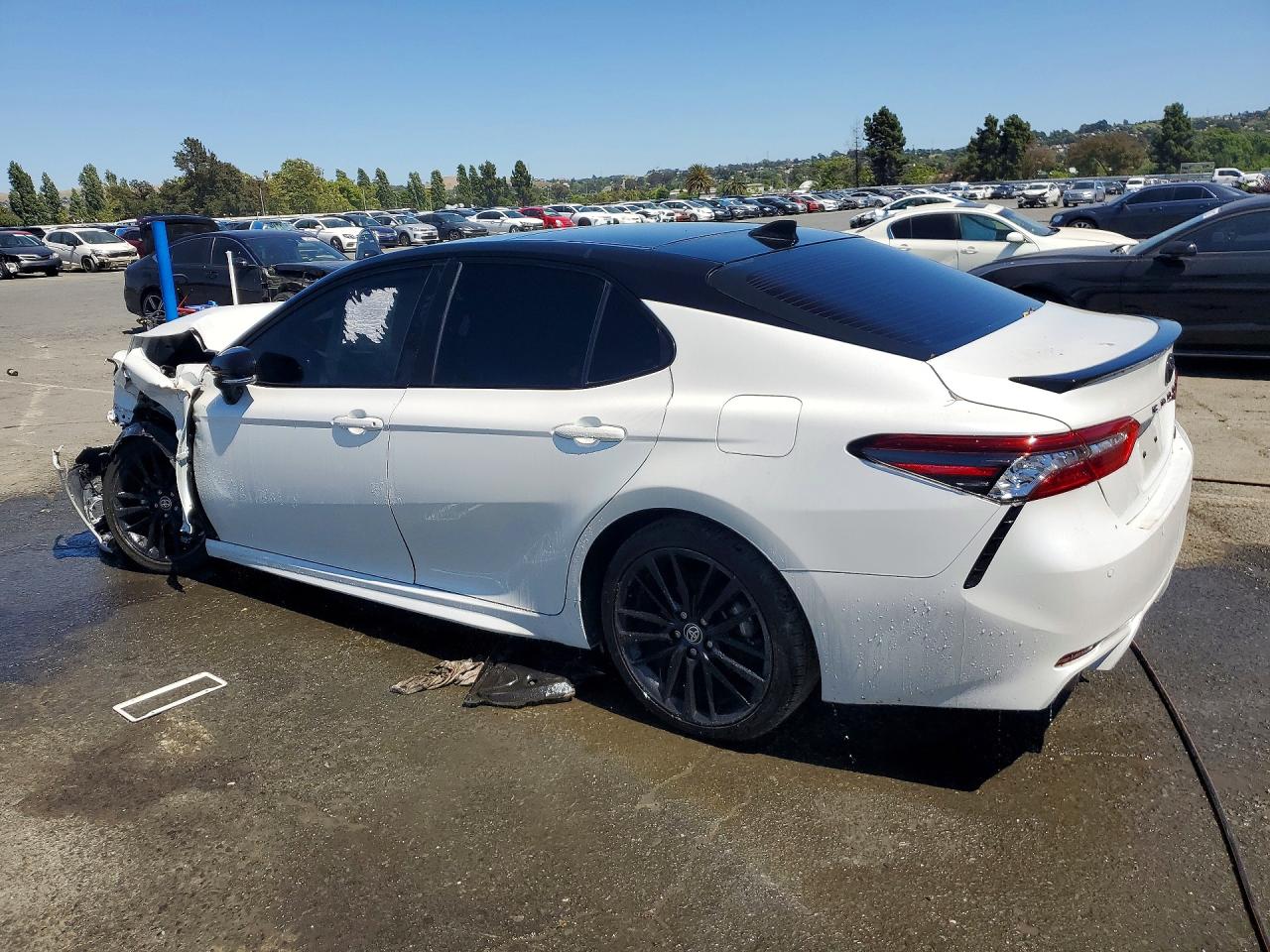 Toyota Camry Xse V6