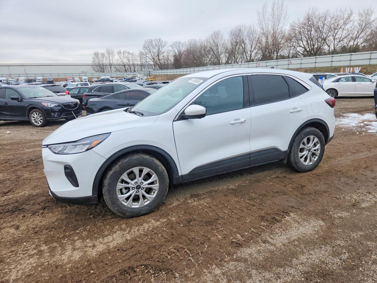 Salvage Ford Escape Image