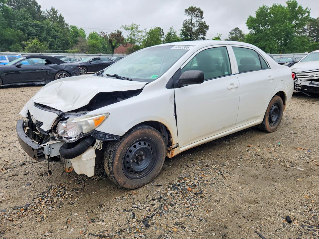 Salvage Toyota Corolla Image