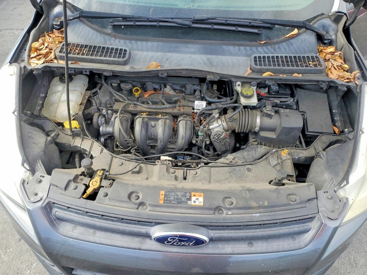 Ford Escape S