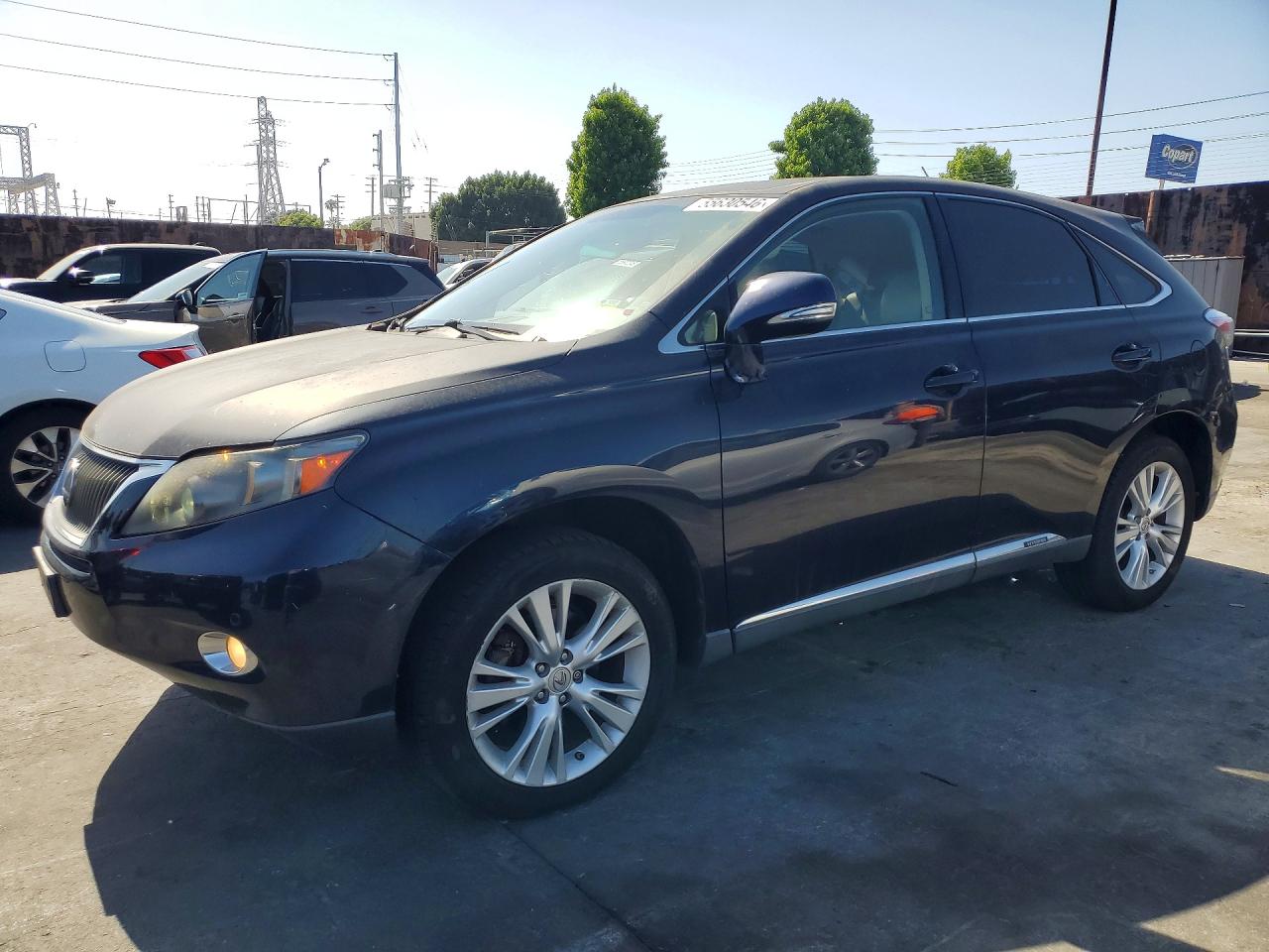 Salvage Lexus RX Image