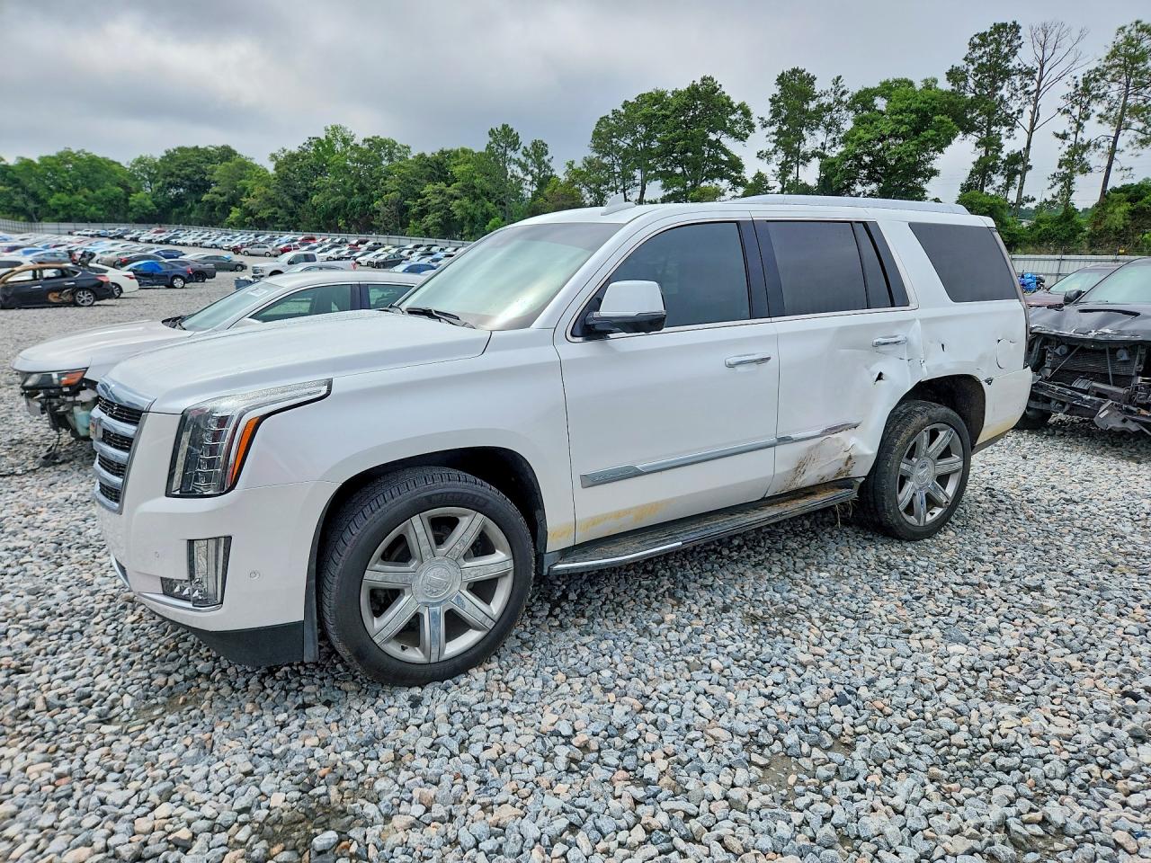 Salvage Cadillac Escalade Image