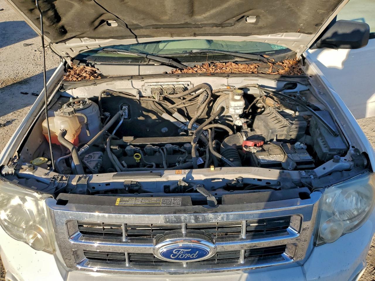 Ford Escape Xlt