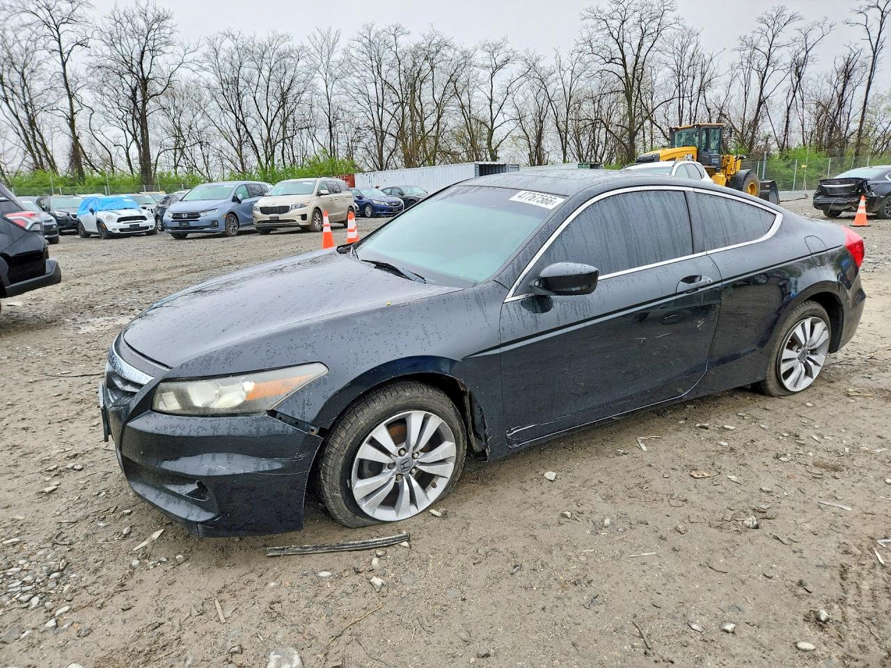 Salvage Honda Accord Image
