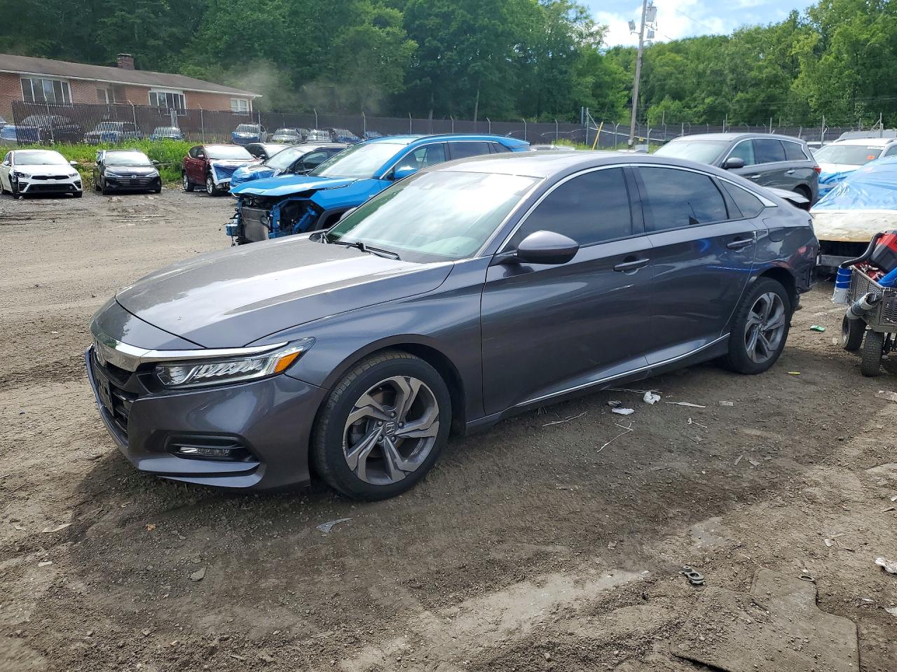 Salvage Honda Accord Image