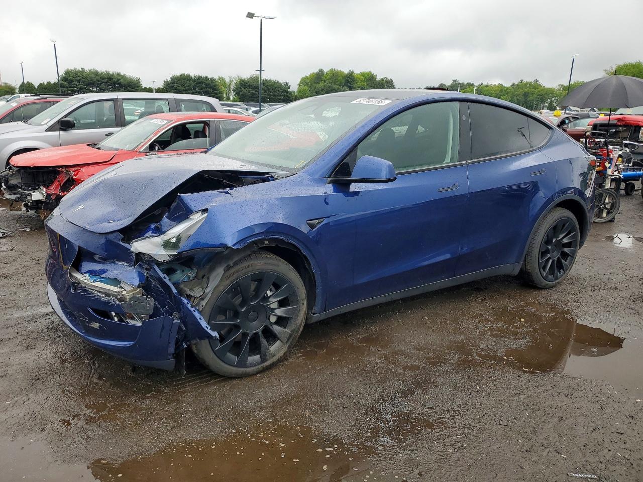 Salvage Tesla Model Y Image